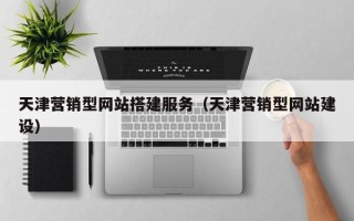辽阳天津营销型网站搭建服务（天津营销型网站建设）