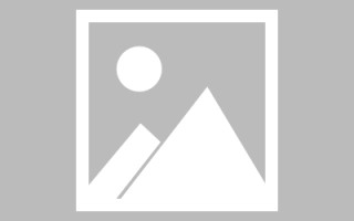 辽阳搭建外贸网站货到付款（外贸付款平台）